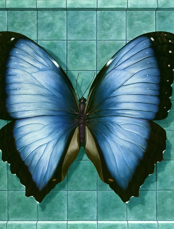 Rectangle 8